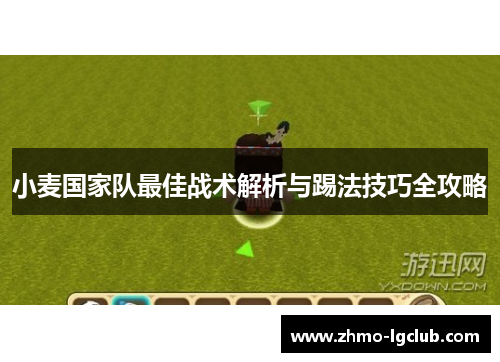 小麦国家队最佳战术解析与踢法技巧全攻略