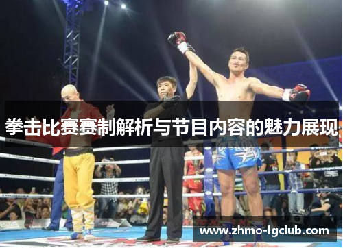 拳击比赛赛制解析与节目内容的魅力展现