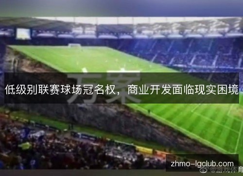低级别联赛球场冠名权，商业开发面临现实困境